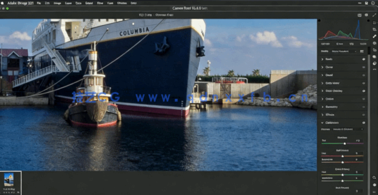  Camera Raw照片编辑基础工具实例工作流程技术视频教程(图4)