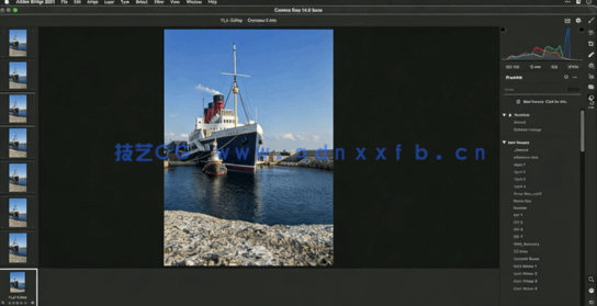  Camera Raw照片编辑基础工具实例工作流程技术视频教程(图5)