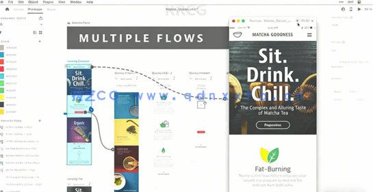 Adobe XD构建和管理设计系统视频教程(图3)