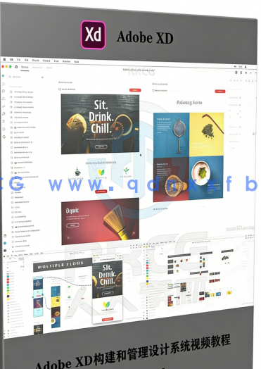 Adobe XD构建和管理设计系统视频教程(图5)