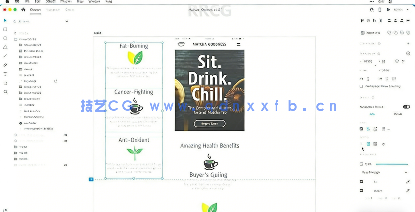Adobe XD创建各种屏幕布局基础培训视频教程(图1)
