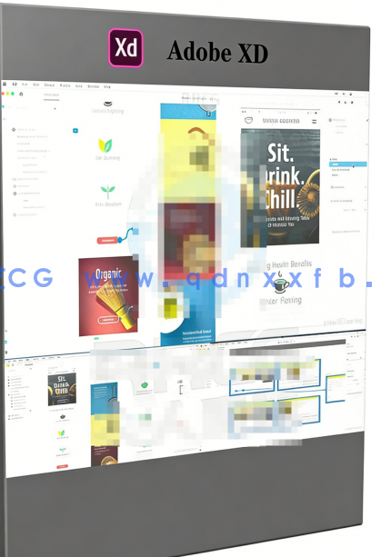 Adobe XD完全交互式内幕技巧视频教程(图6)