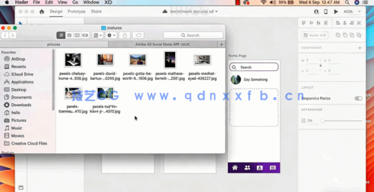 Adobe XD创建完整社交媒体应用程序UI/UX高级基础知识视频教程(图5)