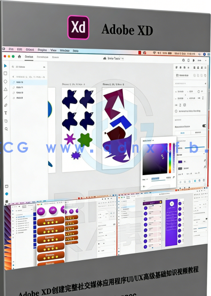 Adobe XD创建完整社交媒体应用程序UI/UX高级基础知识视频教程(图6)