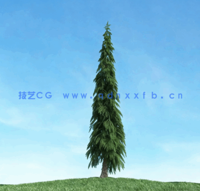 树木合集archmodels vol.117(图2)