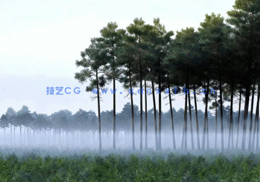 树木合集archmodels vol.117(图5)