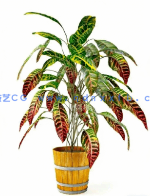 Archmodels vol. 75 室内植物小品(图2)