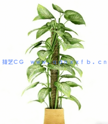 Archmodels vol. 75 室内植物小品(图5)