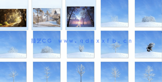 秋冬树木Evermotion Archmodels vol.100(图3)