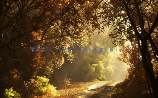 秋冬树木Evermotion Archmodels vol.100(图5)