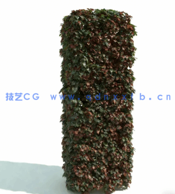 植物绿植花圃Evermotion Archmodels Vol.192(图4)