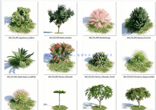 Archmodels.Vol.154精品植物免费下载(图3)