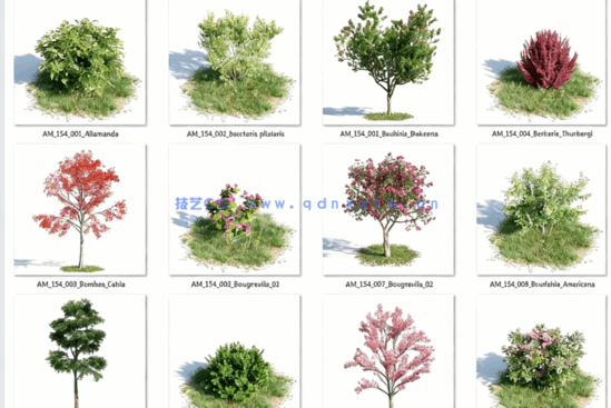 Archmodels.Vol.154精品植物免费下载(图4)