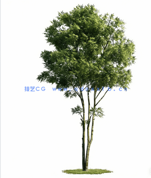 树植物模型Evermotion Archmodels vol. 171(图2)