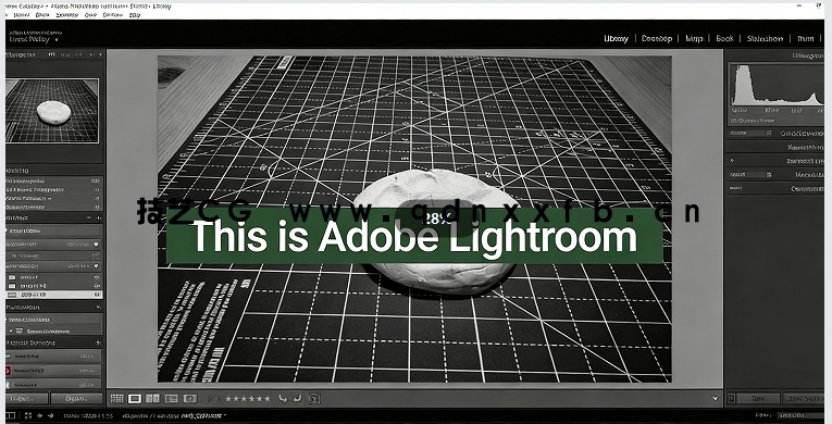 3D打印与摄影测量基础技能训练视频教程(图6)