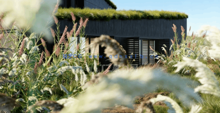 植物草3D模型 Globe Plants – Bundle 26 – Ornamental Grasses 02(图4)