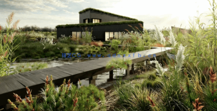 植物草3D模型 Globe Plants – Bundle 26 – Ornamental Grasses 02(图5)