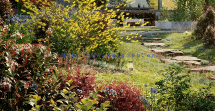 Globe Plants – Bundle 25 – Temperate Plants 02(图5)