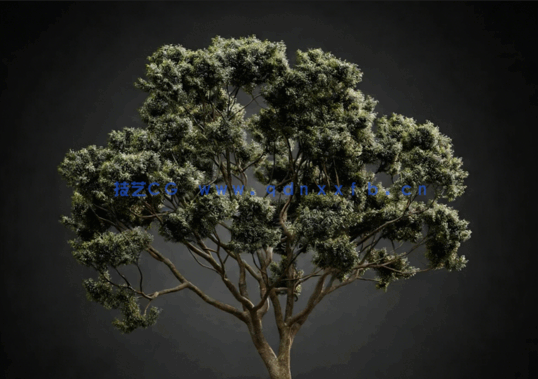  CGHelios – HeliosVegetation vol.2(图1)