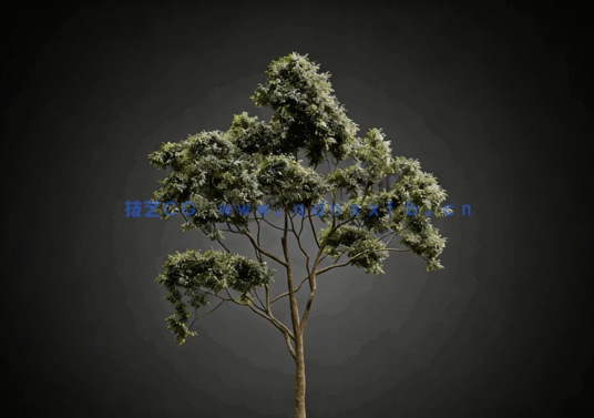  CGHelios – HeliosVegetation vol.2(图4)