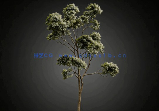  CGHelios – HeliosVegetation vol.2(图5)