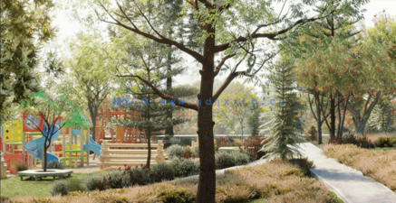 常见大洋洲树木 Globe Plants – Bundle 08(图1)