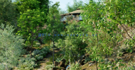 温带植物树木3D模型 Globe Plants – Bundle 19 (3DS MAX格式)(图1)