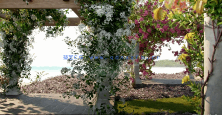 藤蔓植物3D模型 Globe Plants – Bundle 06 (3DS MAX格式)(图3)