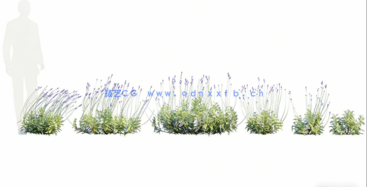 庭院植物树木3D模型 Globe Plants – Bundle 12 (3DS MAX格式)(图5)