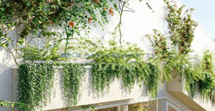 藤蔓植物Globe Plants – Bundle 23 – Vines and Creepers 03(图5)