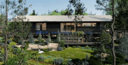 针叶树花园Globe Plants – Bundle 10 – Conifer Garden(图5)