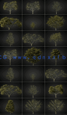 CGHelios – HeliosVegetation vol.1(图2)