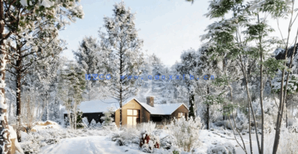 冬天落雪植物3D模型 Globe Plants – Bundle 35 – Winter Plants(图1)