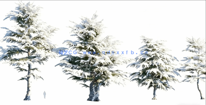 冬天落雪植物3D模型 Globe Plants – Bundle 35 – Winter Plants(图3)