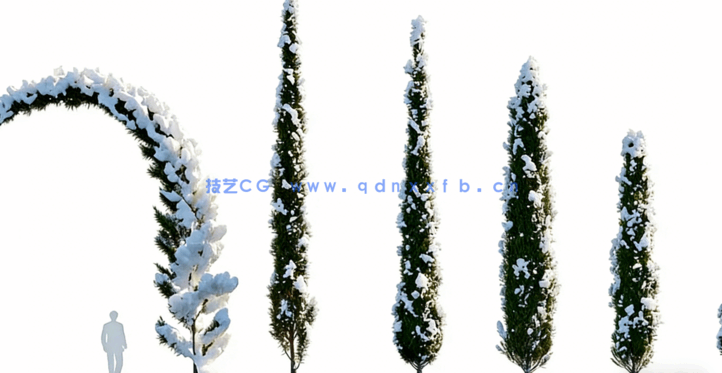 冬天落雪植物3D模型 Globe Plants – Bundle 35 – Winter Plants(图4)