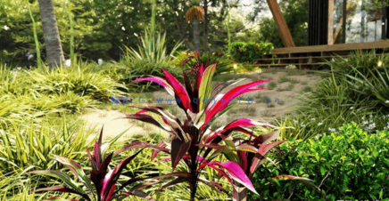 新西兰花园灌木植物3D模型 Globe Plants – Bundle 33(图4)