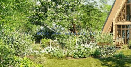 北美花园植物灌木3D模型第二套 Globe Plants – Bundle 29(图4)