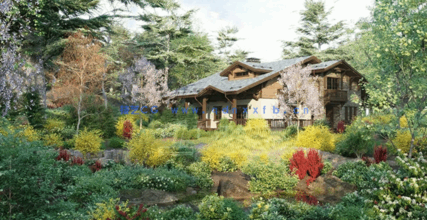 法国花园植物灌木3D模型 Globe Plants – Bundle 28(图4)