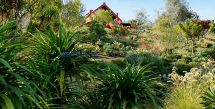 新西兰植物灌木3D模型 Globe Plants – Bundle 21(图2)