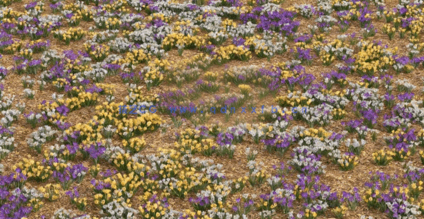 3DMAX花朵植物3D模型 Vizpark – Real Flowers(图1)