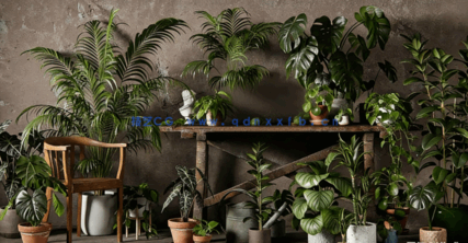 室内绿植盆栽植物3D模型 3DCollective – Interior Plants Pack 01 (3D MAX/OBJ格式)(图1)