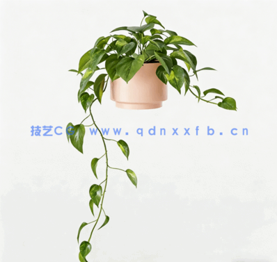 室内绿植盆栽植物3D模型 3DCollective – Interior Plants Pack 01 (3D MAX/OBJ格式)(图4)
