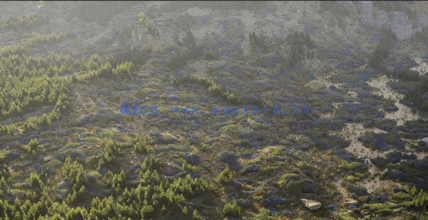 草地和花园景观3D植物模型Globe Plants - Bundle 58 - Meadow Plants(图2)