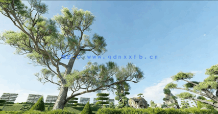 观赏植物和树篱3D模型Globe Plants - Bundle 57 - Ornamental Plants & Hedge 02(图1)