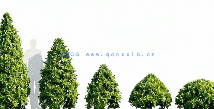 观赏植物和树篱3D模型Globe Plants - Bundle 57 - Ornamental Plants & Hedge 02(图3)