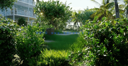 热带3D植物模型Globe Plants - Bundle 56 - Hawaiian Plants(图4)