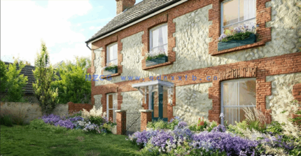 花园植物3D植物模型Globe Plants - Bundle 53 - British Home & Garden Plants(图2) 花园植物3D植物模型Globe Plants - Bundle 53 - British Home & Garden Plants(图2)