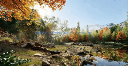 北美树木3D模型Globe Plants - Bundle 52 - North American Trees(图1)