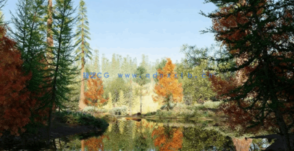 北美树木3D模型Globe Plants - Bundle 52 - North American Trees(图3)