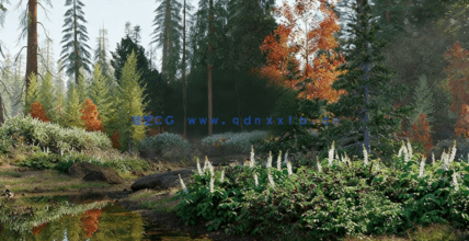 北美树木3D模型Globe Plants - Bundle 52 - North American Trees(图4)